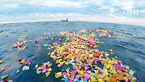 東京湾の散骨業者　まごころ散骨