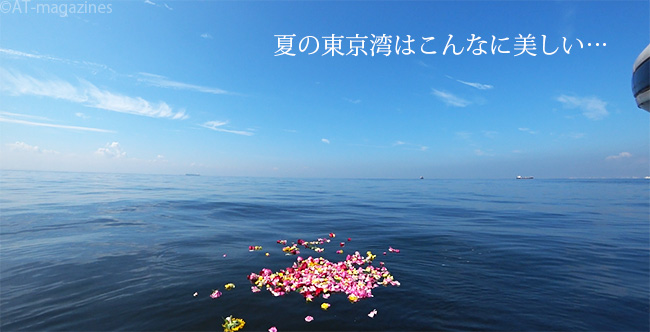 夏の東京湾はこんなに美しい